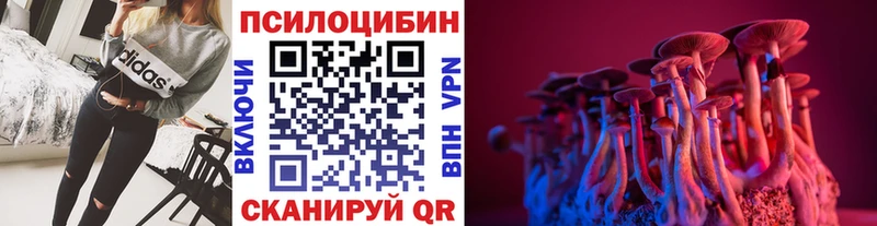 Псилоцибиновые грибы прущие грибы  купить наркотик  Балтийск 